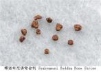 释迦牟尼有多少颗舍利子分布在哪里 释迦牟尼有多少颗舍利子分布在哪里