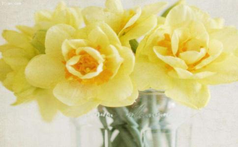 ŮǿᣬƷ޹ϵʵ