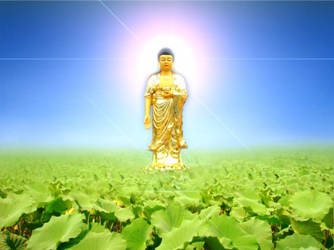 ӷ𡱵ġӦȷкκ壿