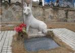 义犬尝毒救30多人,人们为狗立碑塑像! 义犬尝毒救30多人,人们为狗立碑塑像!