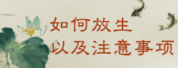 如何放生以及注意事项