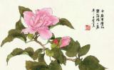 【禅诗赏析】朝开暮落关何事 只要人知色是空 【禅诗赏析】朝开暮落关何事 只要人知色是空