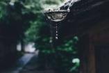 “随缘自在”和“放任自流”有何区别? “随缘自在”和“放任自流”有何区别?