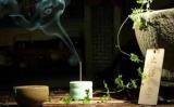 因果报应:别拿直爽当挡箭牌 因果报应:别拿直爽当挡箭牌