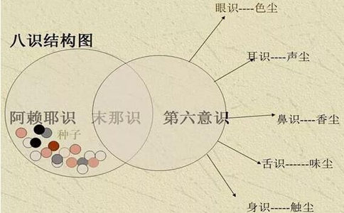 末那识和阿赖耶识图解图片