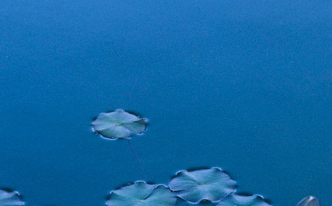 人以群分、物以类聚,远小人近君子 人以群分、物以类聚,远小人近君子