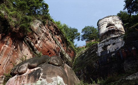 鷨ʦʲô弰