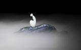 人要精进学习,切莫放纵欲望 人要精进学习,切莫放纵欲望
