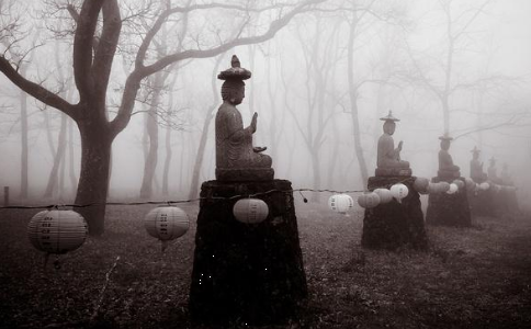 ǽѵ·ϵġ롱