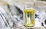 安吉白茶是哪里产的茶?浙江安吉白茶简介 安吉白茶是哪里产的茶?浙江安吉白茶简介