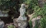 从市场买来海鲜,再拿到海里放生,如法吗? 从市场买来海鲜,再拿到海里放生,如法吗?