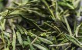 恩施玉露是什么茶?恩施玉露茶的由来与制作工艺 恩施玉露是什么茶?恩施玉露茶的由来与制作工艺