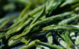 小兰花属于什么茶?舒城小兰花茶介绍 小兰花属于什么茶?舒城小兰花茶介绍
