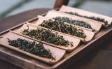 莫干黄芽属于什么茶?莫干黄芽茶简介 莫干黄芽属于什么茶?莫干黄芽茶简介