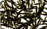仙人掌茶是什么茶?玉泉仙人掌茶的由来与制作 仙人掌茶是什么茶?玉泉仙人掌茶的由来与制作