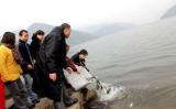 放生回向什么意思?如何给病重人放生回向? 放生回向什么意思?如何给病重人放生回向?