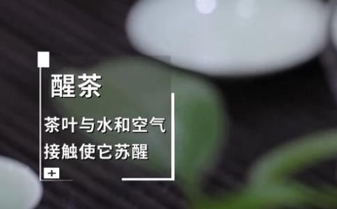 γש裿שݷ