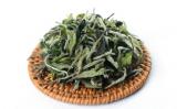 白牡丹茶属于什么茶类?茶叶科普之白牡丹 白牡丹茶属于什么茶类?茶叶科普之白牡丹