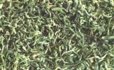 南岳云雾属于什么茶?南岳云雾茶的产地与特点 南岳云雾属于什么茶?南岳云雾茶的产地与特点