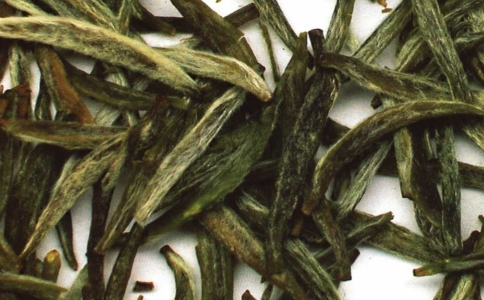 西山茶属于什么茶？桂平西山茶的特点与功效