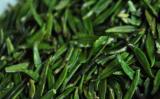 石阡苔茶是什么茶?贵州石阡苔茶的特点及介绍 石阡苔茶是什么茶?贵州石阡苔茶的特点及介绍
