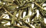 乐昌白毛茶是什么茶?乐昌白毛茶的产地和特点 乐昌白毛茶是什么茶?乐昌白毛茶的产地和特点