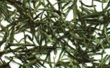 阳羡雪芽是什么茶?宜兴阳羡雪芽介绍 阳羡雪芽是什么茶?宜兴阳羡雪芽介绍