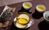 什么是普洱生茶？