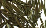 金山翠芽属于什么茶?镇江金山翠芽的产地与特点 金山翠芽属于什么茶?镇江金山翠芽的产地与特点