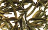 常山银毫属于什么茶?常山银毫茶介绍 常山银毫属于什么茶?常山银毫茶介绍