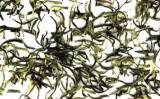 苍山雪绿是什么茶?云南苍山雪绿茶介绍 苍山雪绿是什么茶?云南苍山雪绿茶介绍