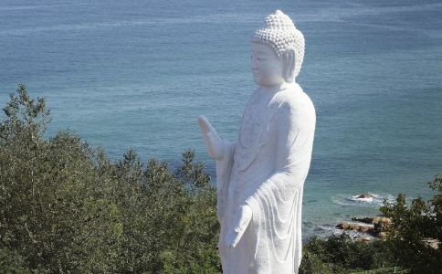 鷨ʦ׾ֽ֣