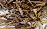 黄茶是凉性还是热性的?喝黄茶的好处 黄茶是凉性还是热性的?喝黄茶的好处