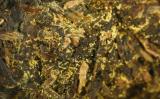 茯茶里的金花是什么?怎么形成的? 茯茶里的金花是什么?怎么形成的?