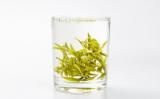 绿茶含有维生素C吗?喝绿茶能补充维生素吗? 绿茶含有维生素C吗?喝绿茶能补充维生素吗?