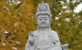 受菩萨戒有什么好处?受戒的好处 受菩萨戒有什么好处?受戒的好处