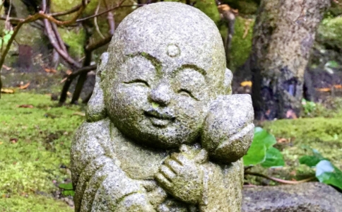 ʢʦûиô죿޸