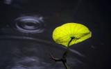 在日常生活中如何把握自己的内心不出差错呢? 在日常生活中如何把握自己的内心不出差错呢?