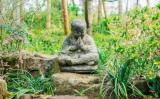 茶禅一味中的“凡”怎么理解? 茶禅一味中的“凡”怎么理解?
