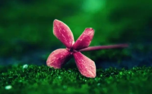 ʵˣε˲ĸԸĿĿ