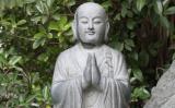 一个牙齿怎么吃东西?下下咬着 一个牙齿怎么吃东西?下下咬着