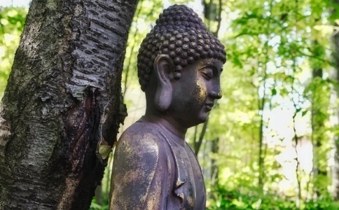 本源法师：学习佛陀冥想静坐，就可以悟道成佛吗？