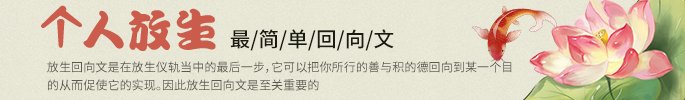 个人放生最简单回向文