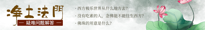 净土法门疑难问题解答