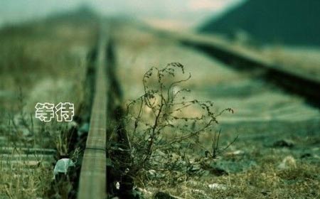 佛理禅机:我们的生活中到处充满着机会