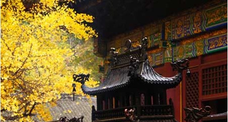 佛理禅机:放下对过去的执着 活在当下