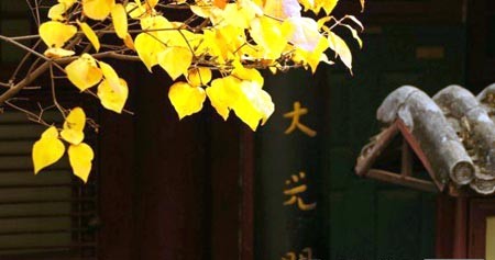 佛理禅机:除了正法 什么都帮不了你