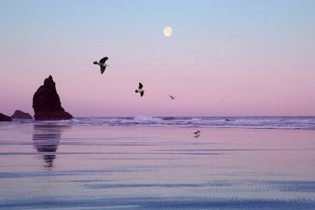 ���������������Ҹ��ļ�ԭ��