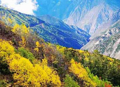 ����������������һ ���¶����ҵ�ƫִ