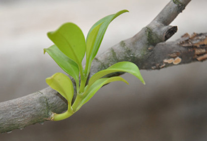 ����������������Ϊ�� �ɾ�����Ϊ��